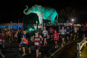 BIB: 
                            <button type="button" onclick="openModal(26552297)" class="btn btn-primary btn-sm float-right btn-popup" data-toggle="modal" data-target=".modal-high-quality">
                        <i class="fas fa-shopping-cart"></i> Add to Cart
                    </button>
                                            <button type="button" onclick="isThisMe(26552297, true)" class="btn btn-success btn-sm float-right btn-popup btn-isme hidden" data-toggle="tooltip" data-placement="bottom" title="นี่คือรูปของคุณใช่ไหม คลิกที่นี่เพื่อเอาเข้าอัลบั้ม">
                        <i class="fas fa-plus"></i> Add to album
                    </button>
                    <button type="button" onclick="isThisMe(26552297, false)" class="btn btn-warning btn-sm float-right btn-popup btn-isnotme hidden">
                        <i class="fas fa-ban"></i> Remove from album
                    </button>